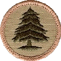 PineTree-patch