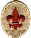 scouts-patch